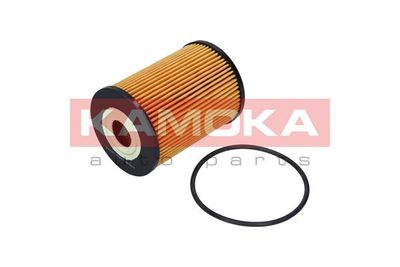 Oil Filter F110301