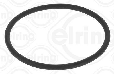 INEL DE ETANșARE POMPă COMBUSTIBIL