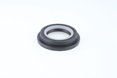 Dichtring
