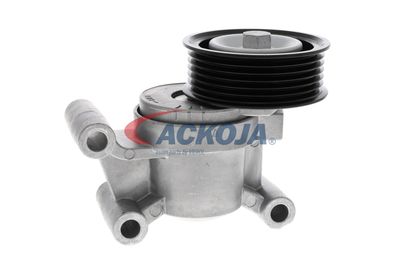 INTINZATOR CUREA CUREA DISTRIBUTIE ACKOJA A320602 34