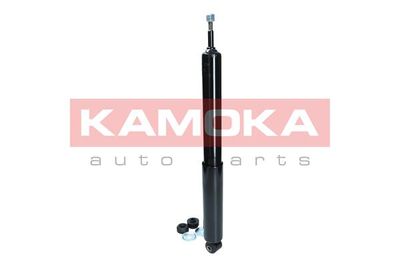 Shock Absorber 2000988