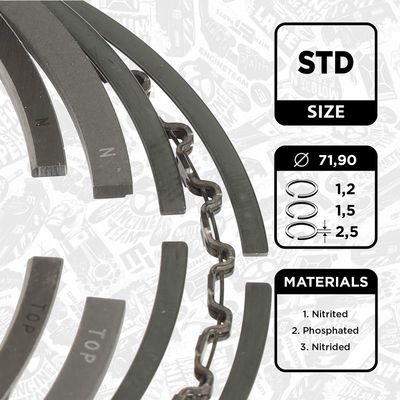 SET SEGMENTI PISTON