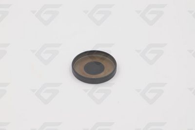 VERSCHLUSSDECKEL NOCKENWELLE HUTCHINSON 739764 2