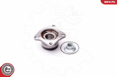 Wheel Bearing Kit 29SKV080