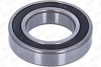 LAGAR INTERMEDIAR AX CARDANIC BIRTH 6621 2