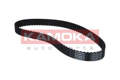 Timing Belt 7000019