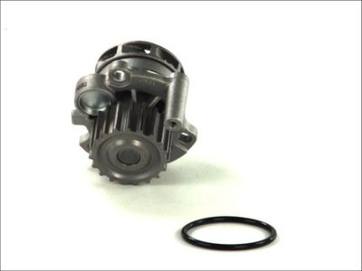 Water Pump, engine cooling D1A023TT