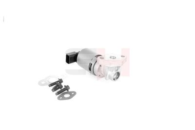 SUPAPA EGR GH GH739308 51