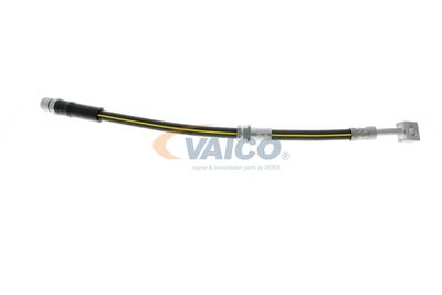 FURTUN FRANA VAICO V404110 41