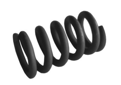 FEDER SCHALLDäMPFER