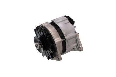GENERATOR / ALTERNATOR REMANTE 011003000067R 9