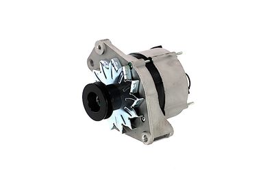 GENERATOR / ALTERNATOR REMANTE 011003000270R 65