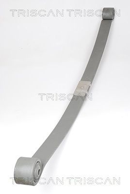 TRISCAN Federnpaket