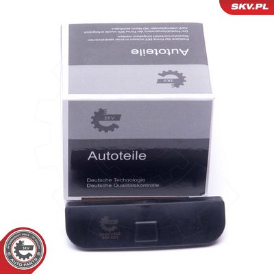 Galinių durų rankenėlė