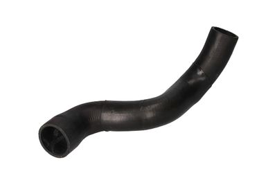 FURTUN EAR SUPRAALIMENTARE BIRTH 55647 12