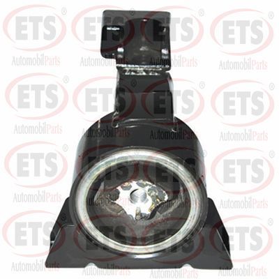 окачване, двигател ETS 11.EM.252