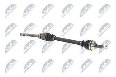 PLANETARA NTY NPWPE101 11