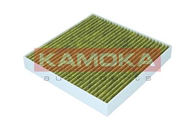 Filter, cabin air 6080170