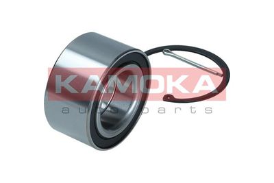 Wheel Bearing Kit 5600167