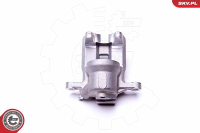 Brake Caliper 45SKV813