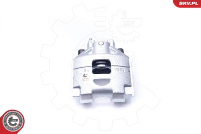 Brake Caliper 42SKV622