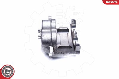 Brake Caliper 44SKV912