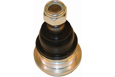Kavo Parts Šarnyras / girgždukas