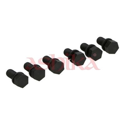 ASHIKA Schraube, Zahnkranzträger-Schwungrad