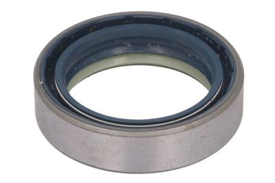 Achteras pruttelt (47x65x16,5mm)