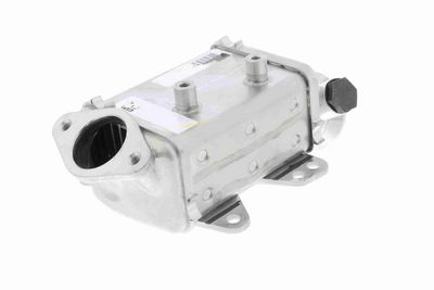 KüHLER ABGASRüCKFüHRUNG VEMO V24630022 8