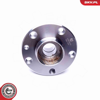 SET RULMENT ROATA ESEN SKV 29SKV413 1