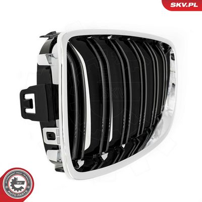 GRILA RADIATOR ESEN SKV 66SKV152 4
