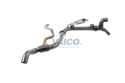 KüHLERSCHLAUCH VAICO V401756 55