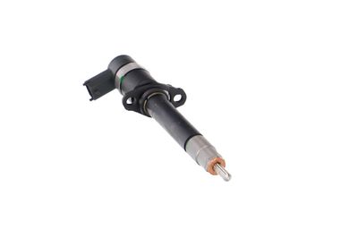 INJECTOR REMANTE 002003000196R 54