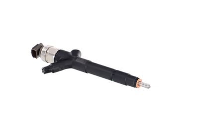 INJECTOR REMANTE 002003000085R 48