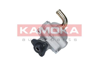 Hydraulic Pump, steering PP002