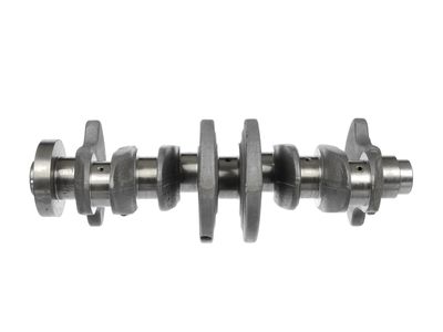 ARBORE COTIT ET ENGINETEAM HK0219 6