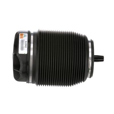 LUFTFEDER FAHRWERK Arnott A2960 64