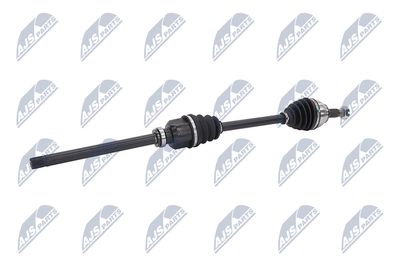 PLANETARA NTY NPWCT081 4