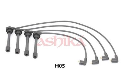 Uždegimo laido komplektas