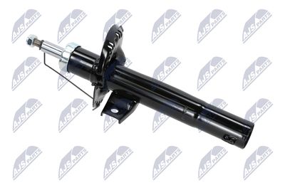 AMORTIZOR NTY AAU030 10