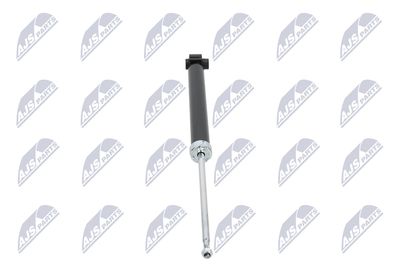 AMORTIZOR NTY AAU020 33