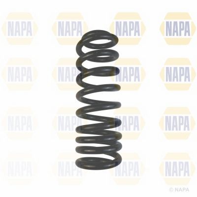 Suspension Spring NAPA NCS1769