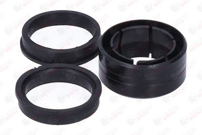 BUCSA ARBORE DE DIRECTIE BIRTH 4144 4