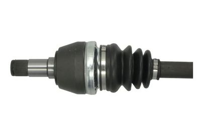Drivaksel PASCAL G2M027PC