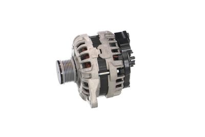 GENERATOR / ALTERNATOR REMANTE 011003000862R 13