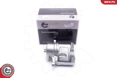 Brake Caliper 46SKV831