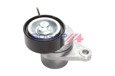 INTINZATOR CUREA CUREA DISTRIBUTIE BOGAP R1317104 3