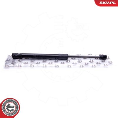 Dujinė spyruoklė, bagažinė