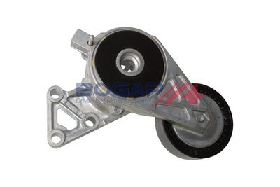 INTINZATOR CUREA CUREA DISTRIBUTIE BOGAP A1317120 1